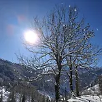 - Sass De Stria Cernadoi Dolomiti *