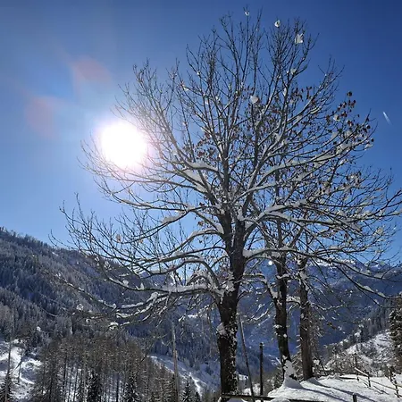 - Sass De Stria Cernadoi Dolomiti *