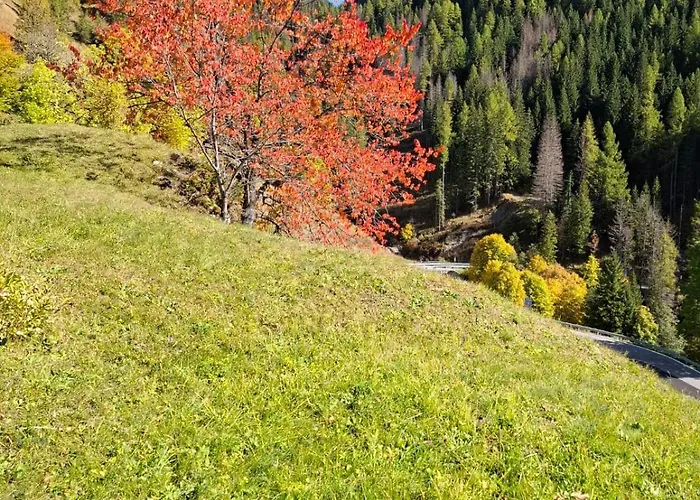 - Sass De Stria Cernadoi Dolomiti *