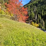 - Sass De Stria Cernadoi Dolomiti *