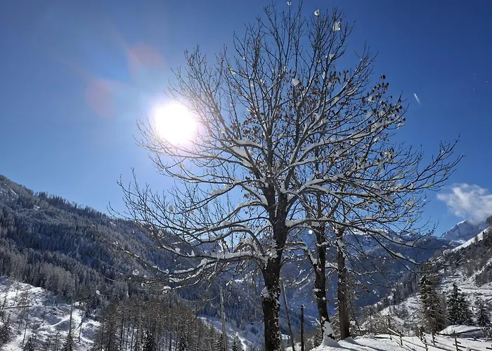- Sass De Stria Cernadoi Dolomiti *