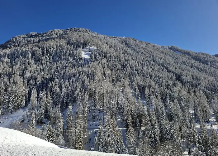 아파트 - Sass De Stria Cernadoi Dolomiti Andraz